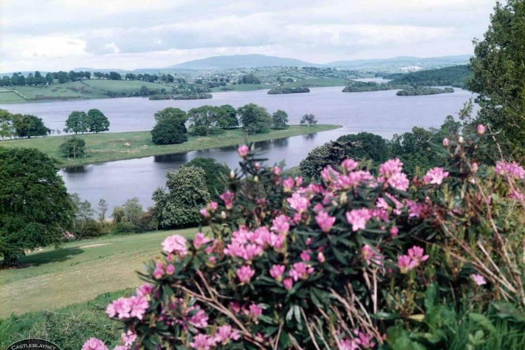 Villa Glenmount Castleblayney Esterno foto